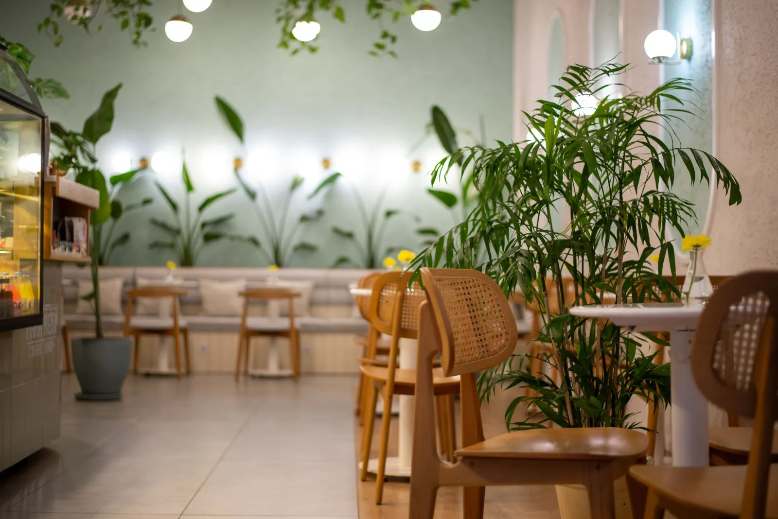 Interior luminoso de la cafetería con mesas de madera y plantas