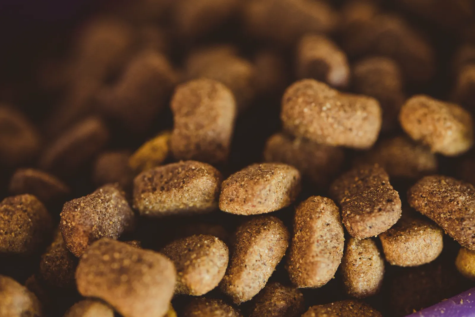 Croquetas para mascotas de cerca